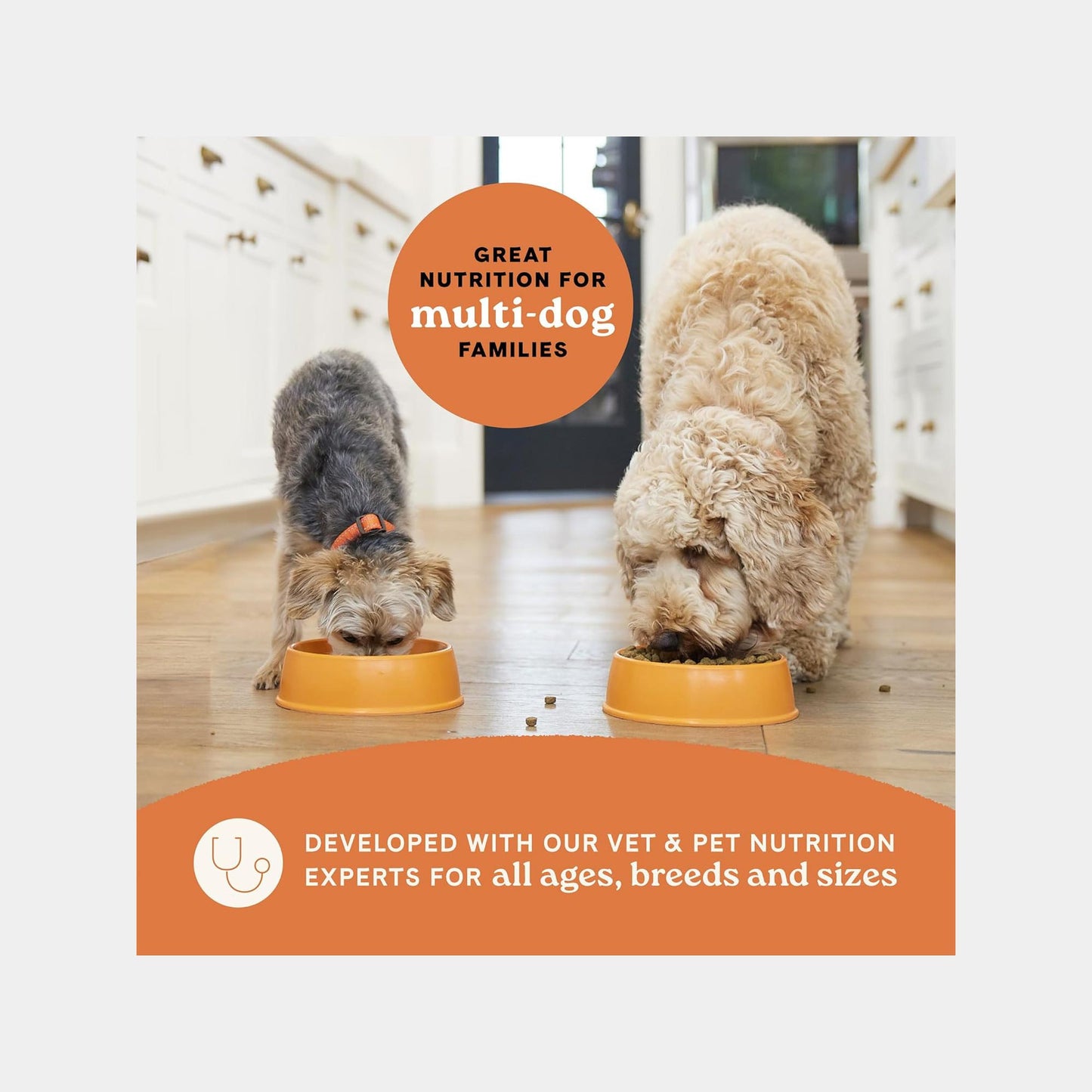 Canidae All Life Stages Multi-Protein Dry Dog Food – Chicken, Turkey, Lamb & Fish (27 lbs)