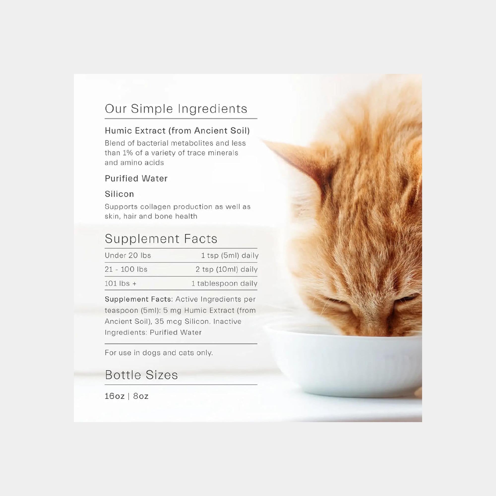 ION Gut Support Liquid Probiotics for Pets – Digestive, Skin & Immune Health for Dogs & Cats